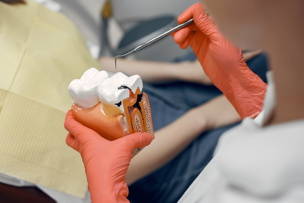 Close-up of a dental bridge model used for tooth replacement in Denver restorative care.